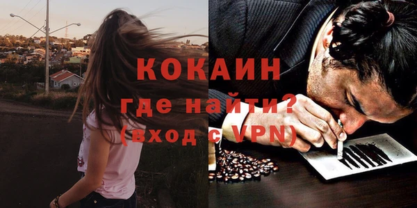 прущие грибы Арсеньев