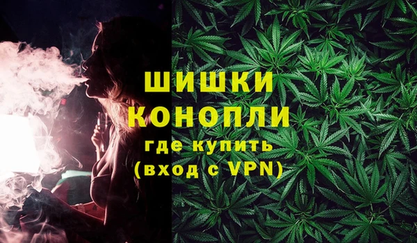 прущие грибы Арсеньев