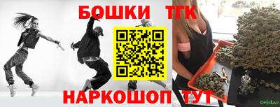 spice Дубна