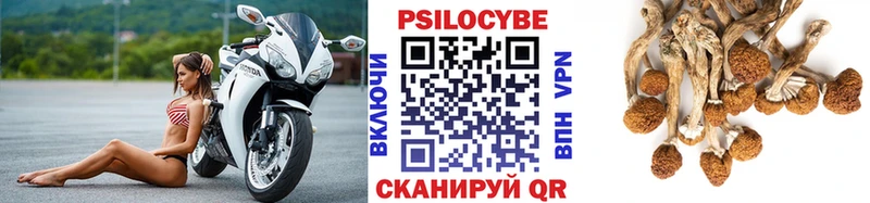 даркнет сайт  Камень-на-Оби  Галлюциногенные грибы GOLDEN TEACHER 