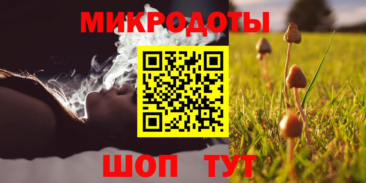 Галлюциногенные грибы GOLDEN TEACHER  Камень-на-Оби 