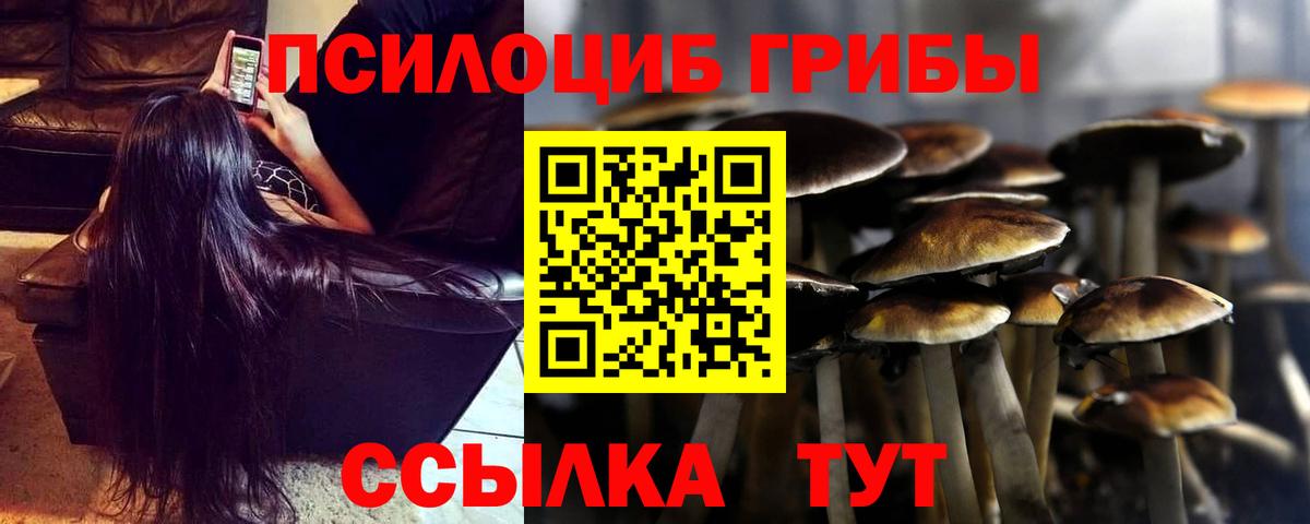 Камень-на-Оби  Галлюциногенные грибы Psilocybine cubensis  Вход с VPN 