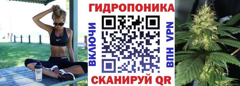Каннабис VHQ  магазин  наркотиков  Камень-на-Оби 